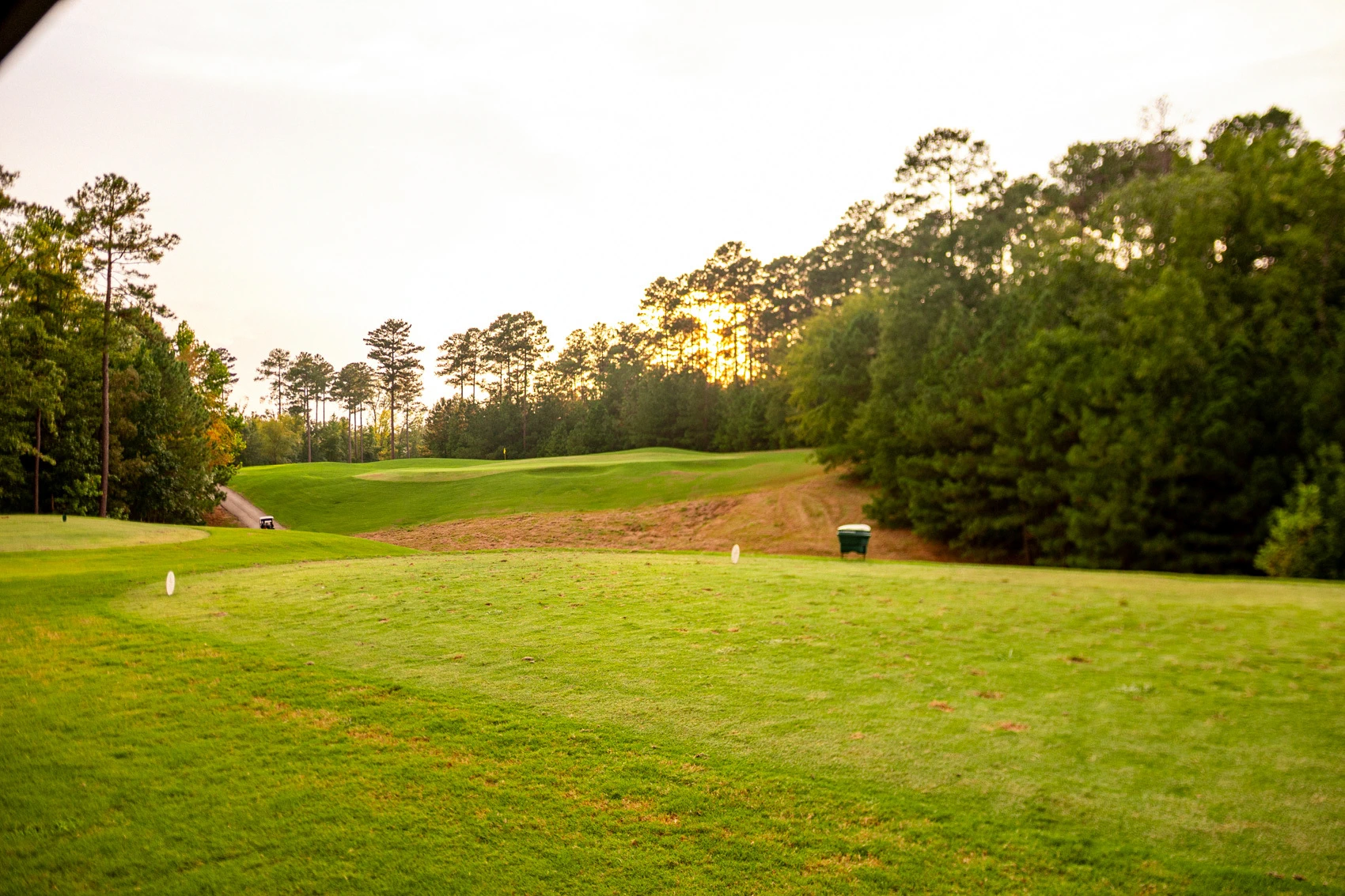 Evening sun through the pines, looking down the fairway from the tee